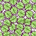 Pattern of palm leaves